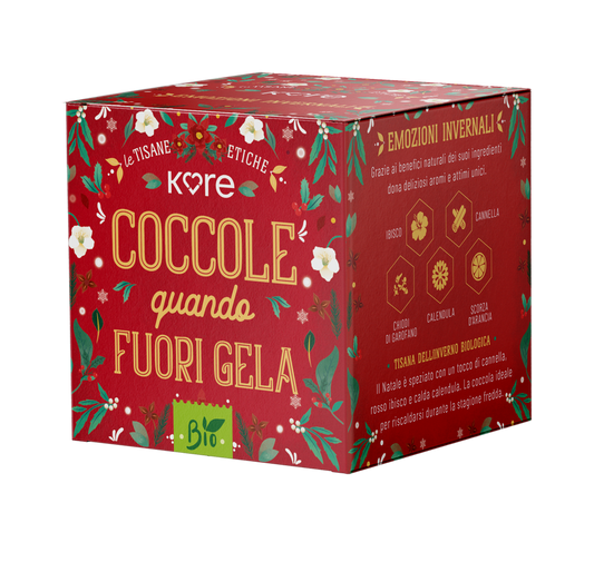 TISANA BIOLOGICA INVERNO - Ibisco, Cannella, Chiodi di Garofano, Cannella