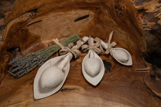 Tulipano profumatore Terra