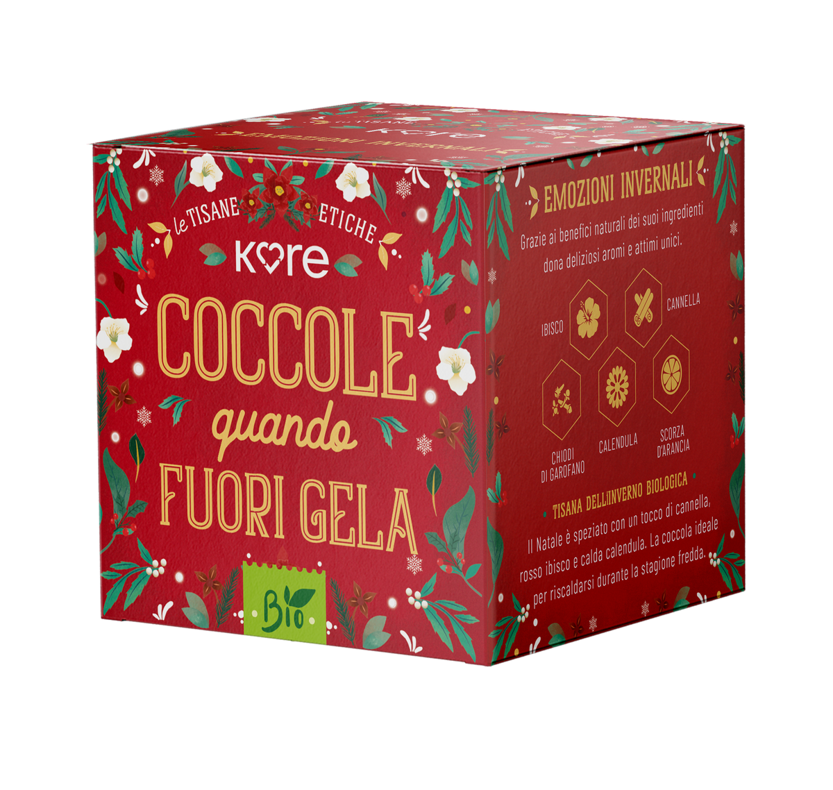 TISANA BIOLOGICA INVERNO - Ibisco, Cannella, Chiodi di Garofano, Cannella